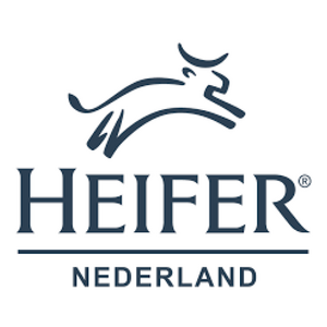 Heifer_400px