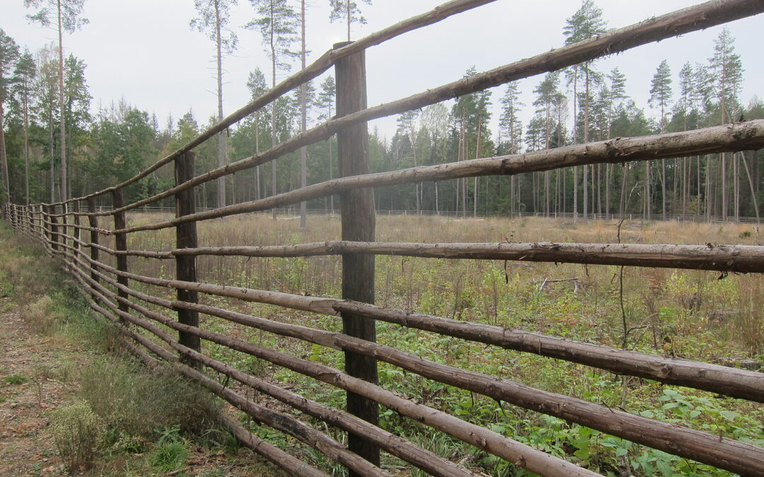 Poolse minister die oerbos liet kappen is ontslagen