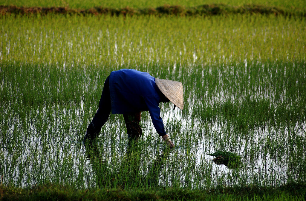 Klimaatverandering leidt tot migratiecrisis in Vietnam