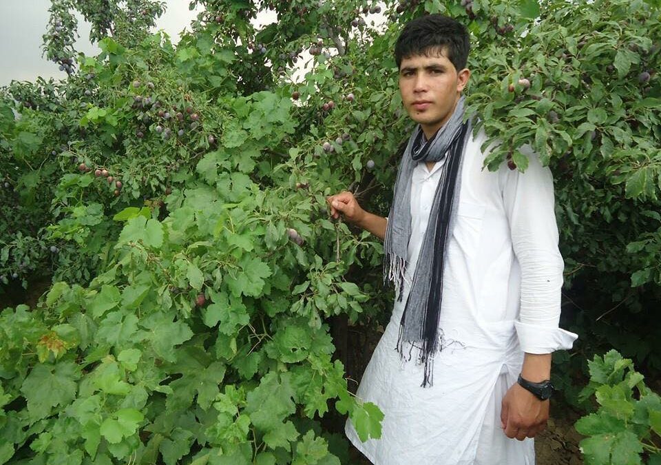 Azim werd bedreigd door de Taliban, maar of hij mag blijven?