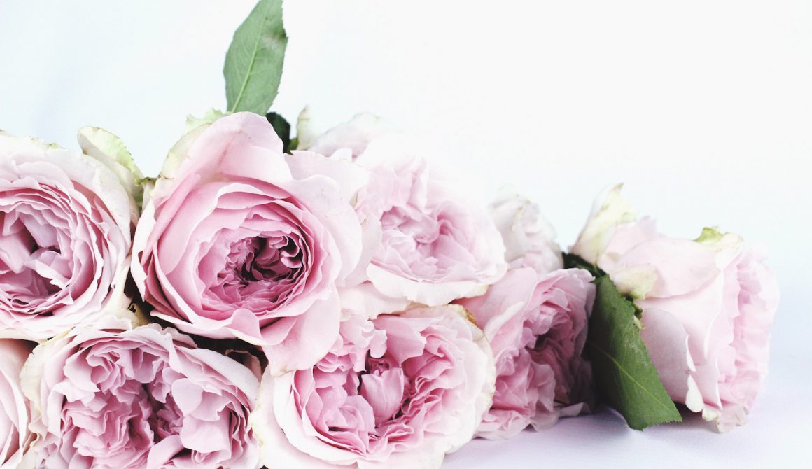 bloom-blossom-bouquet-122734