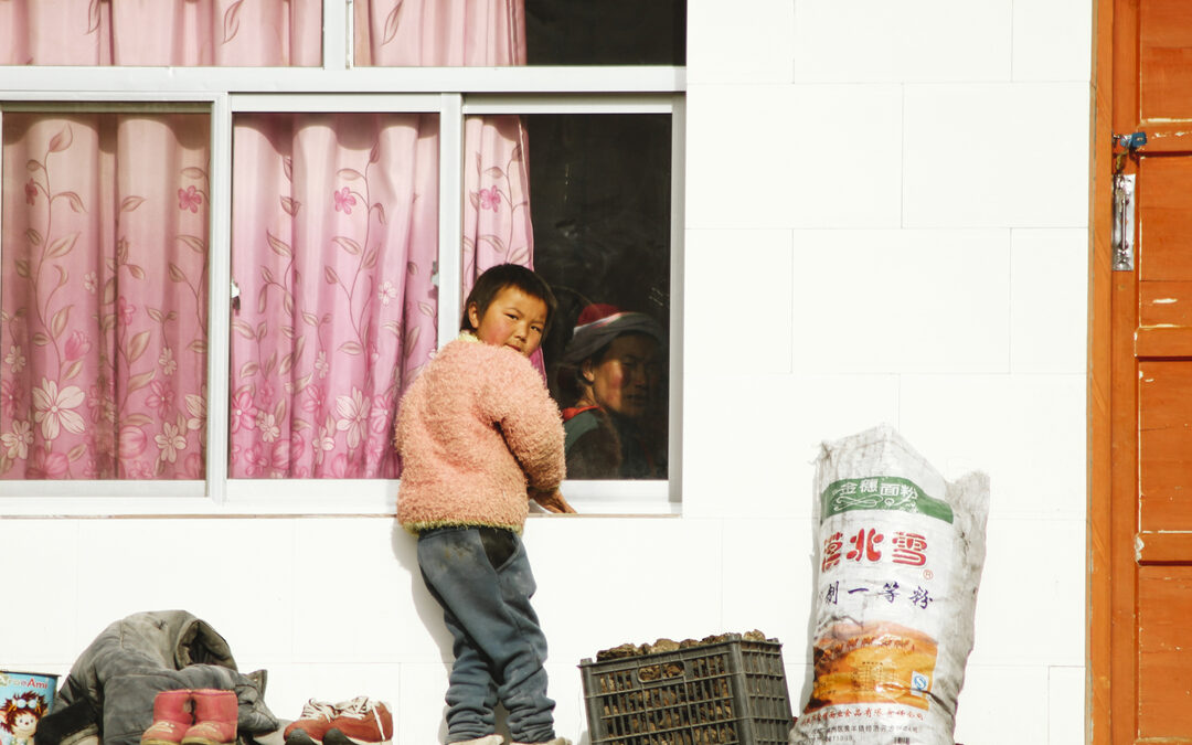 Tibetaanse nomaden onder druk