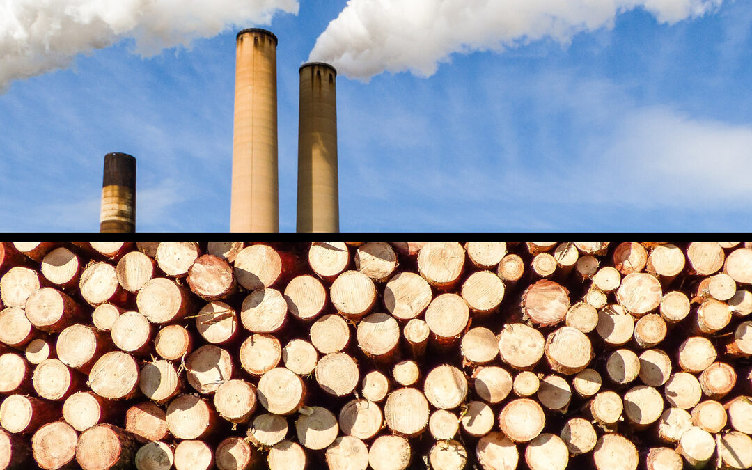 Dit zijn de nadelen van biomassa