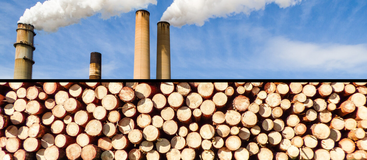 biomassa heeft een hoge co2-uitstoot
