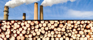 biomassa heeft een hoge co2-uitstoot