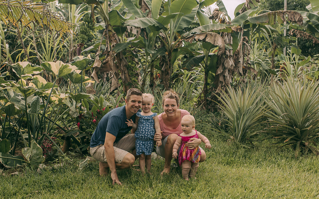 Update: leven in de jungle