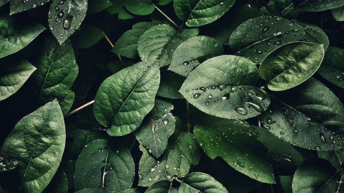 mobilechallenge-4k-wallpaper-close-up-807598