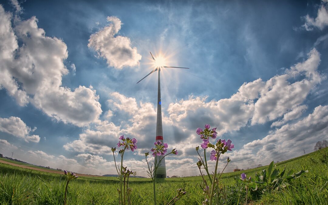 In het ‘volle Drenthe’ is plaats voor de windmolen