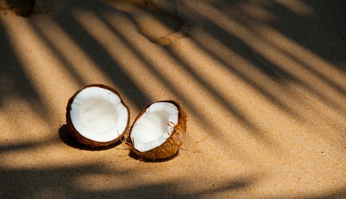beach-coconut-delicious-322483