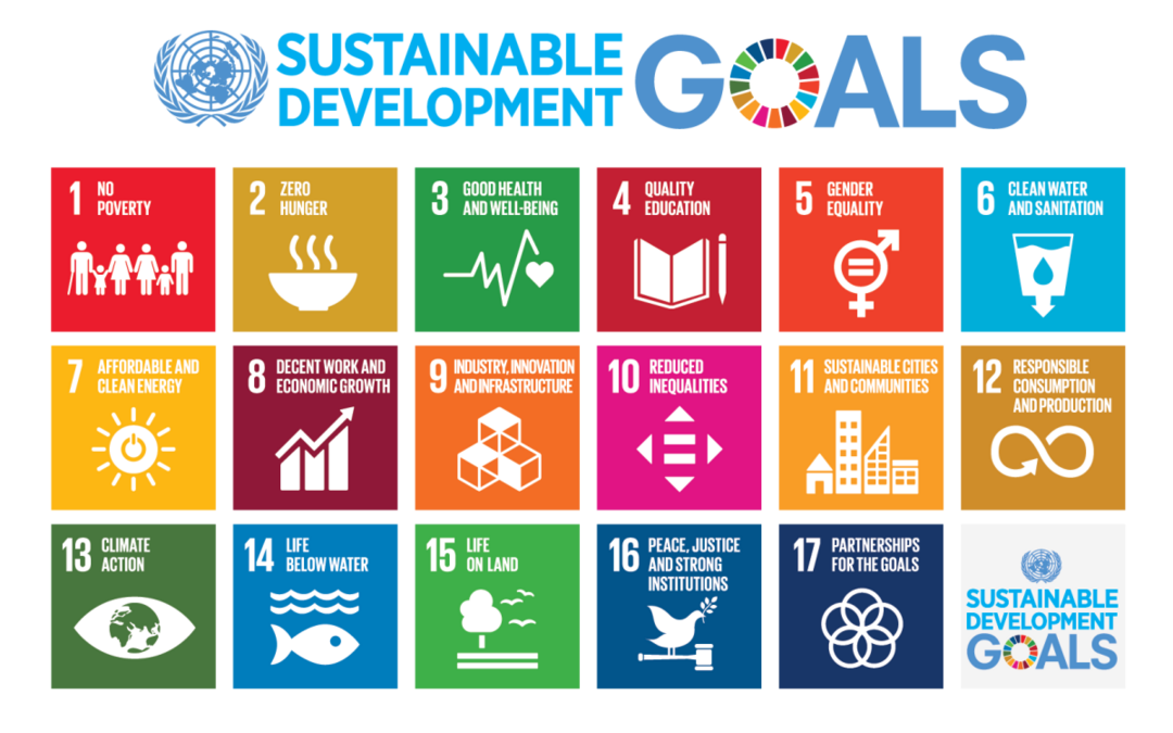 SDG’s en pensioenfondsen: dat kan slimmer en sneller!