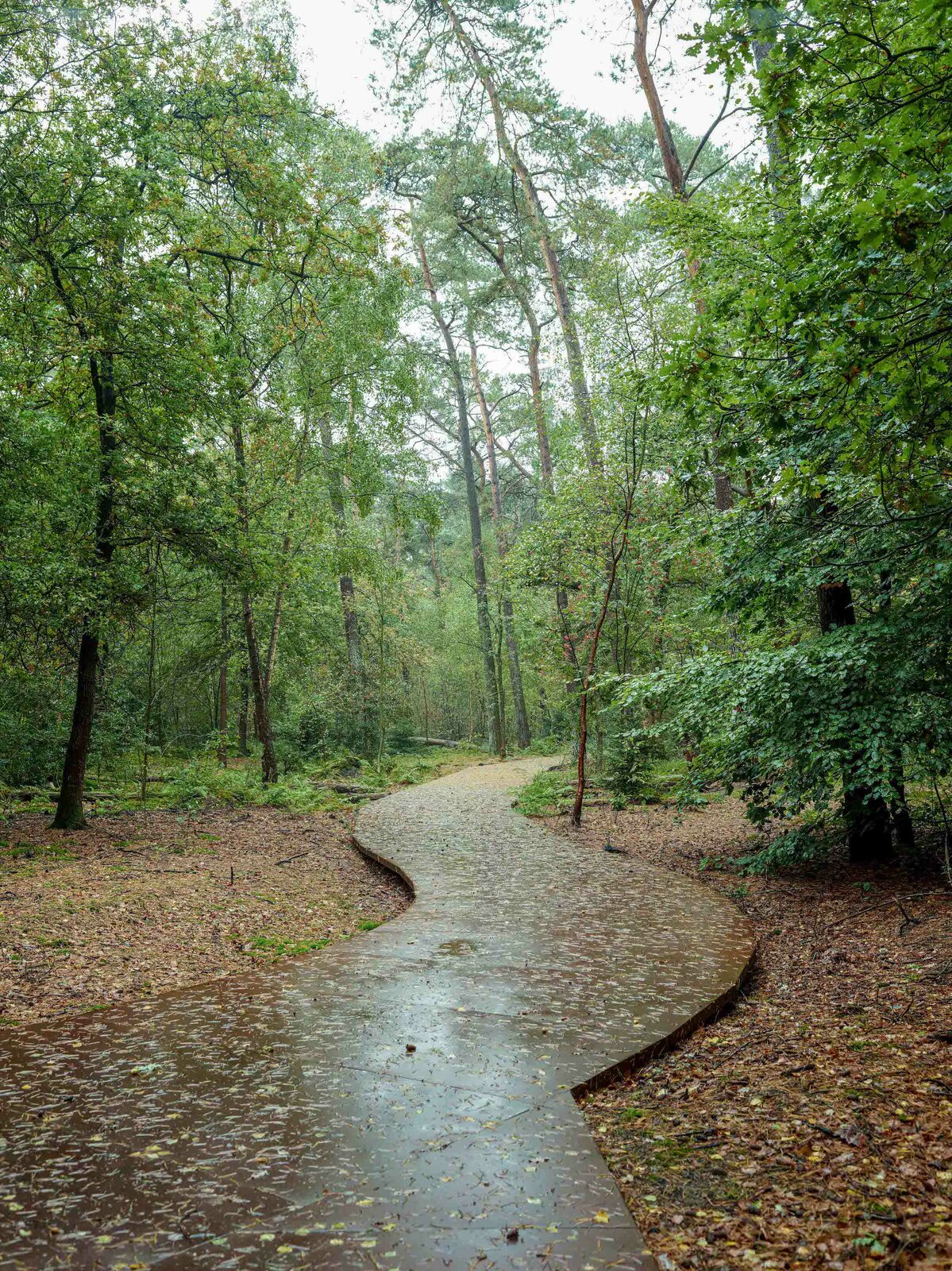 Natuurbegraafplaats