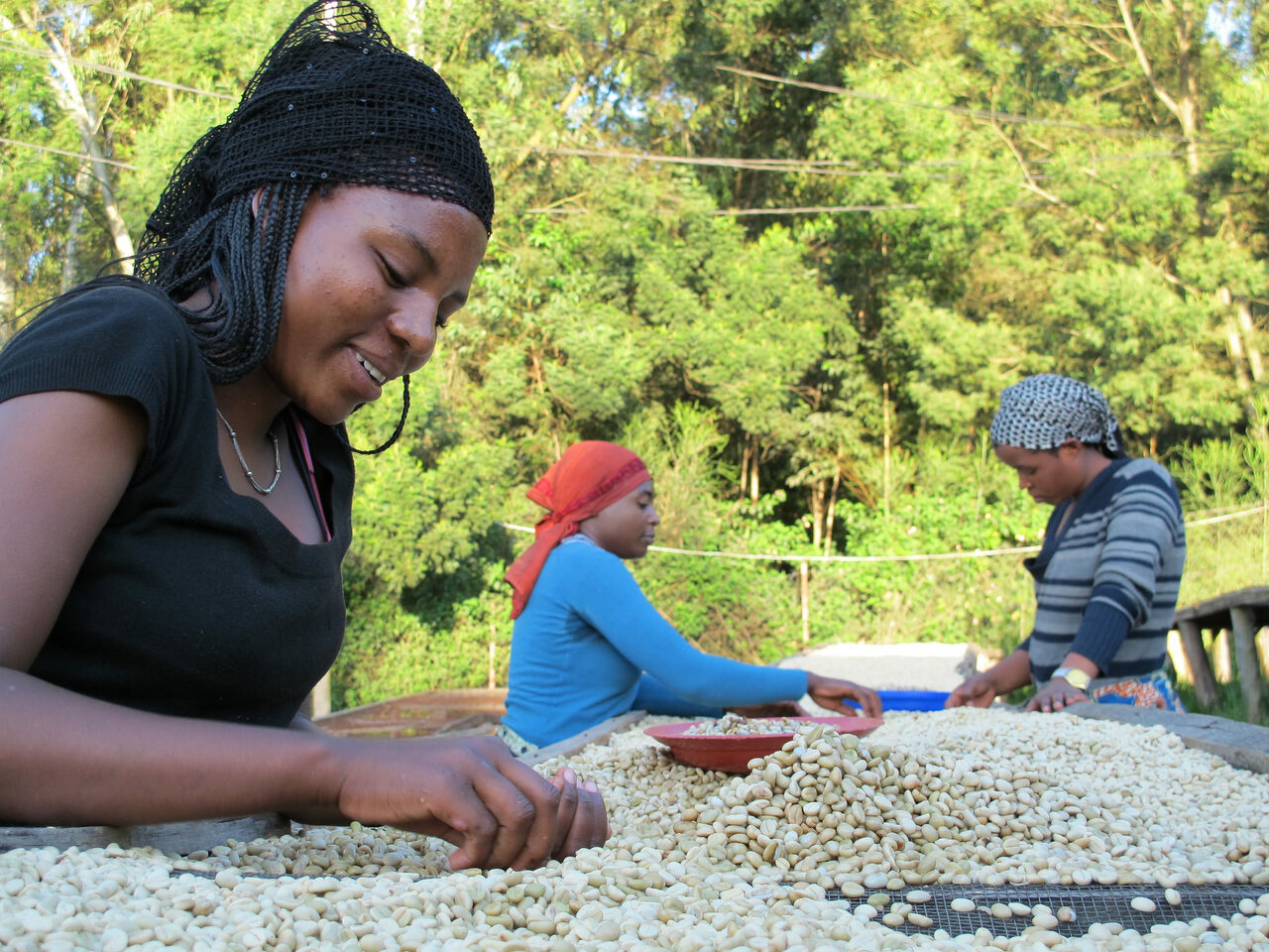Coffee-sorters-at-Maraba-smallholder-coffee-cooperative-in-Butare-Rwanda.-Credit-Rainforest-Alliance-1.jpg