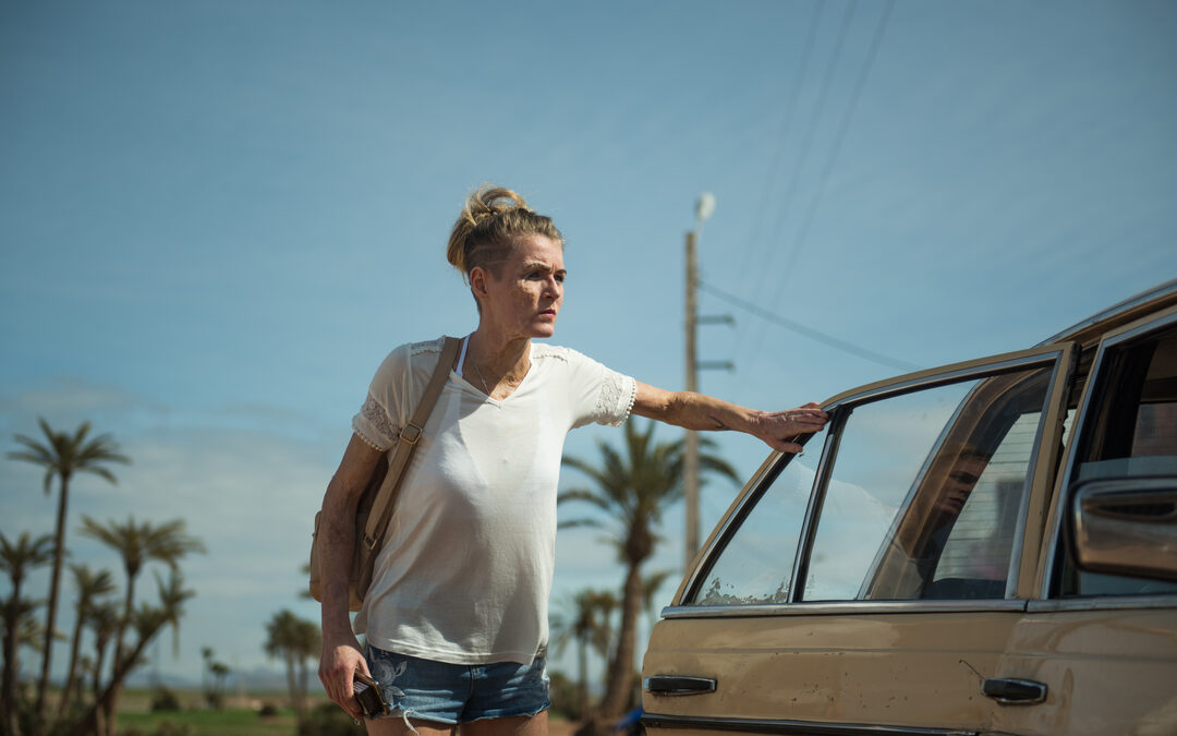 Dutch Movies Matter Night @ Movies that Matter Festival 2019