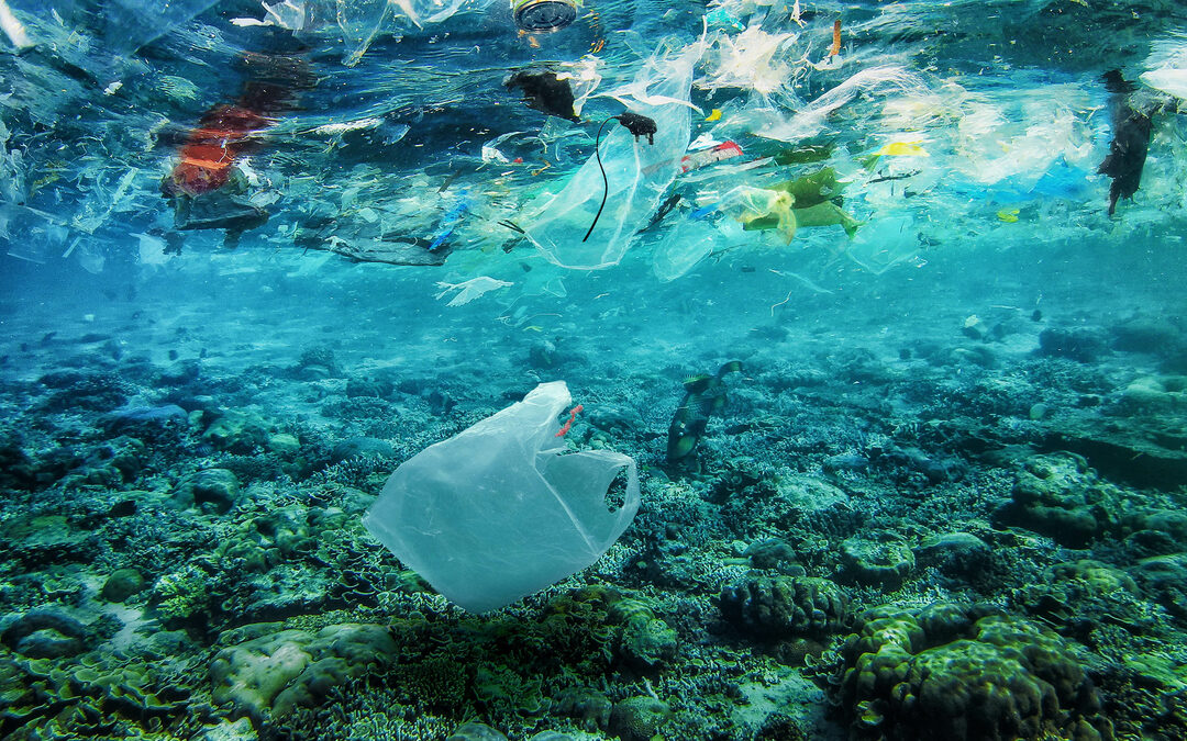 Plastic op Bali