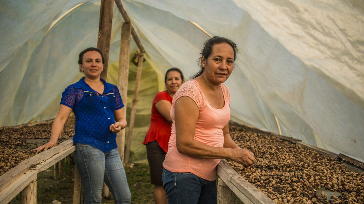 Women-sort-ramon-nuts-and-spread-them-out-for-drying-at-their-processing-center-and-bakery-in-Ixlu-Guatemala.-Photo-credit-Sergio-Izquierdo.jpg