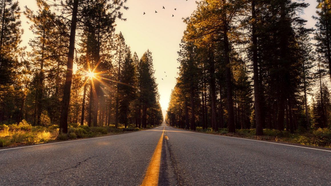 adventure-asphalt-california-533671