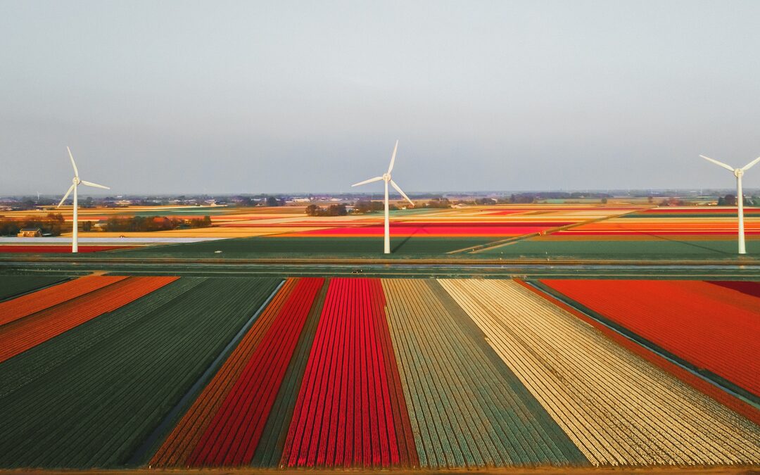 Klimaatwet is belangrijke eerste stap voor Nederland