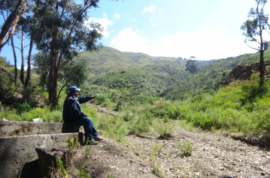 Volunteer for Eco-Restoration Project