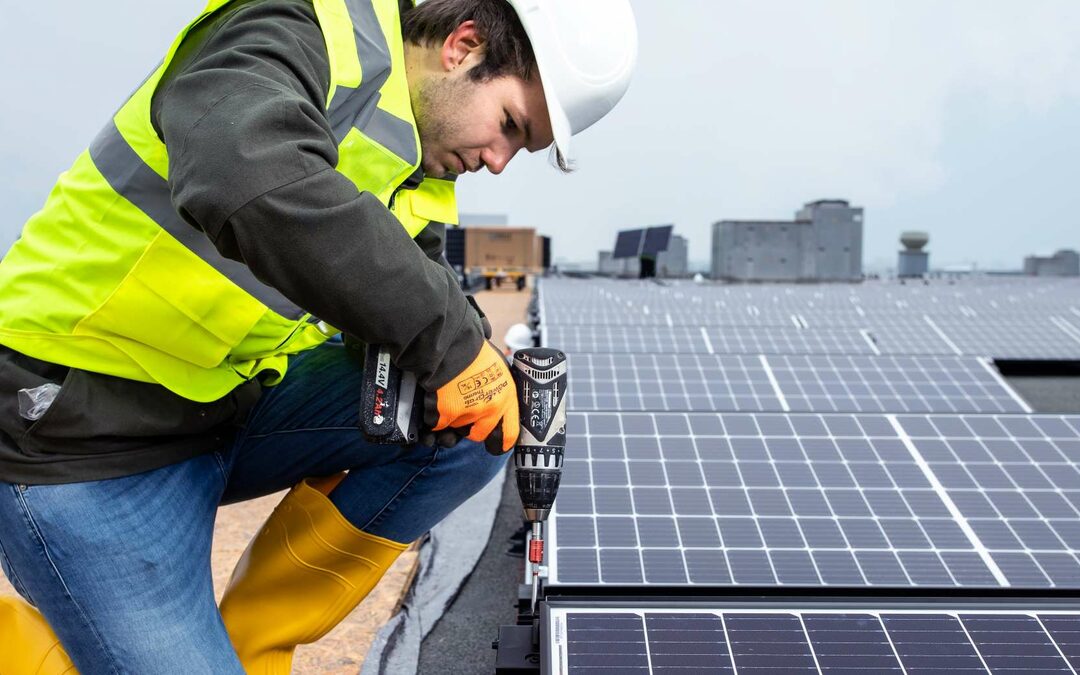 Goedkope zakelijke zonnepanelen: slim of niet?