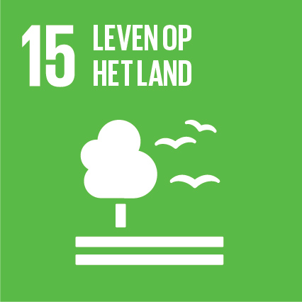 SDG-icon-NL-RGB-15