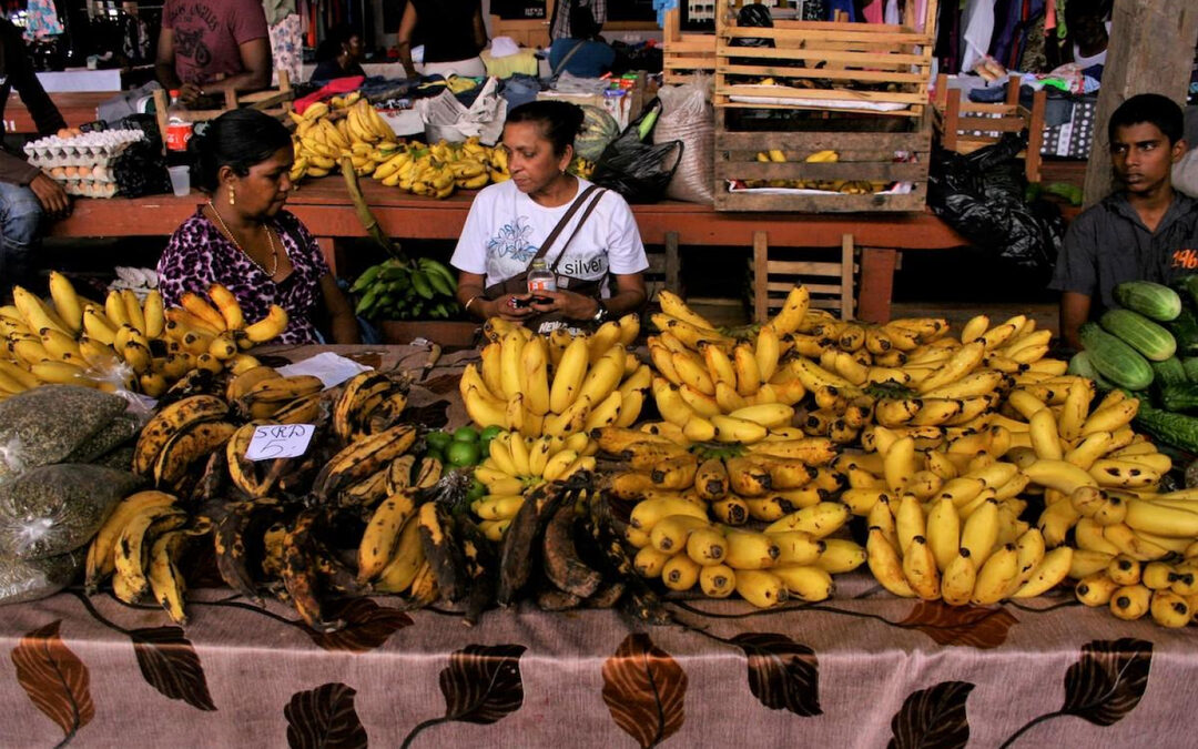 Zo hielp een Belgisch-Nederlandse bananenbaas Suriname in de schulden