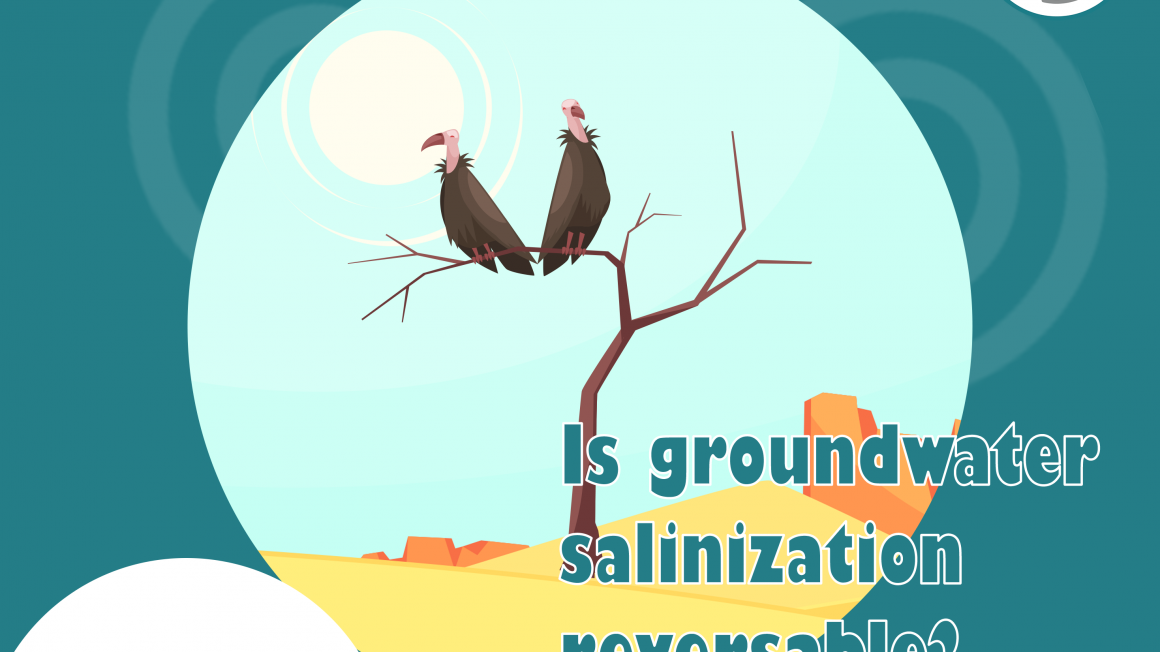 salinization-post-2.png