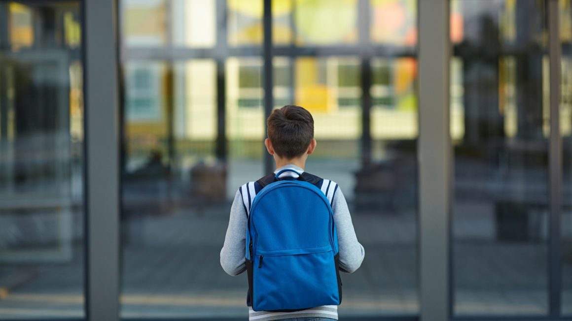Schoolboy stands in front of the school door