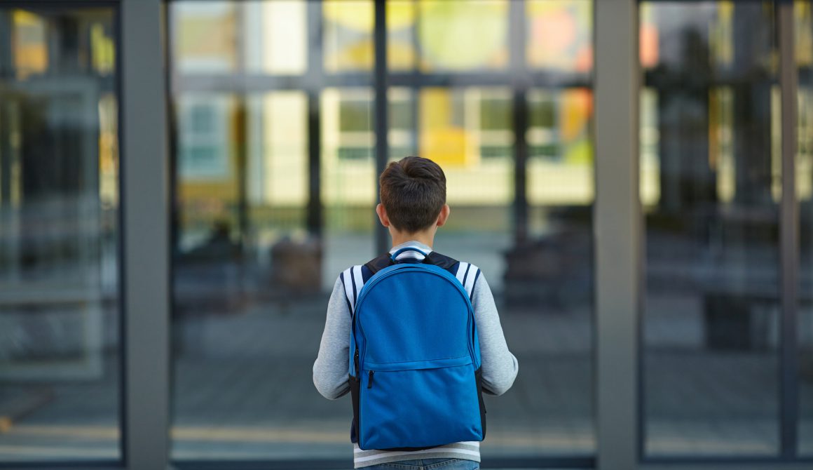 Schoolboy stands in front of the school door