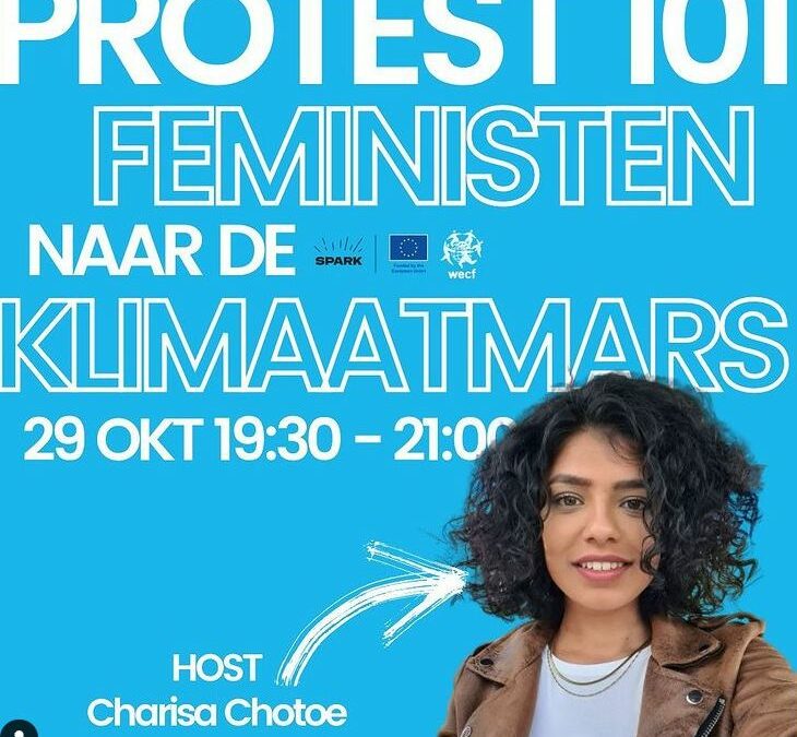 PROTEST 101 – FEMINISTEN BIJ DE KLIMAATMARS