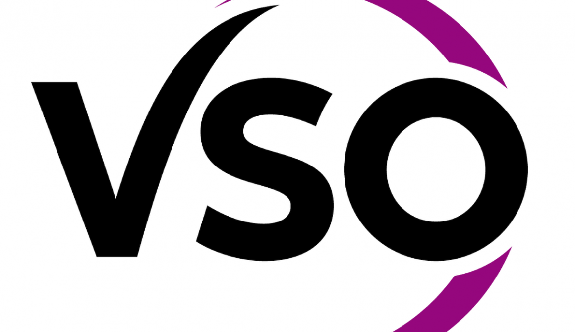 2017_VSO Logo Kleur_Vierkant klein achtergrond wit_1200x1200