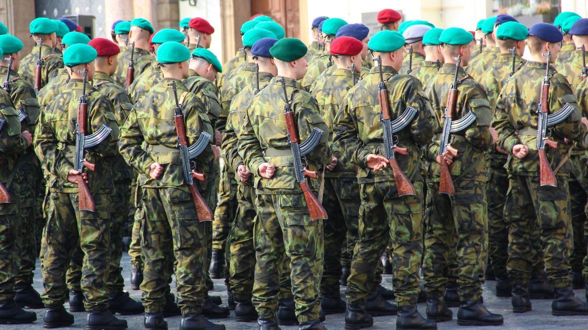 Czech army forces, oath at the presidential Palace
