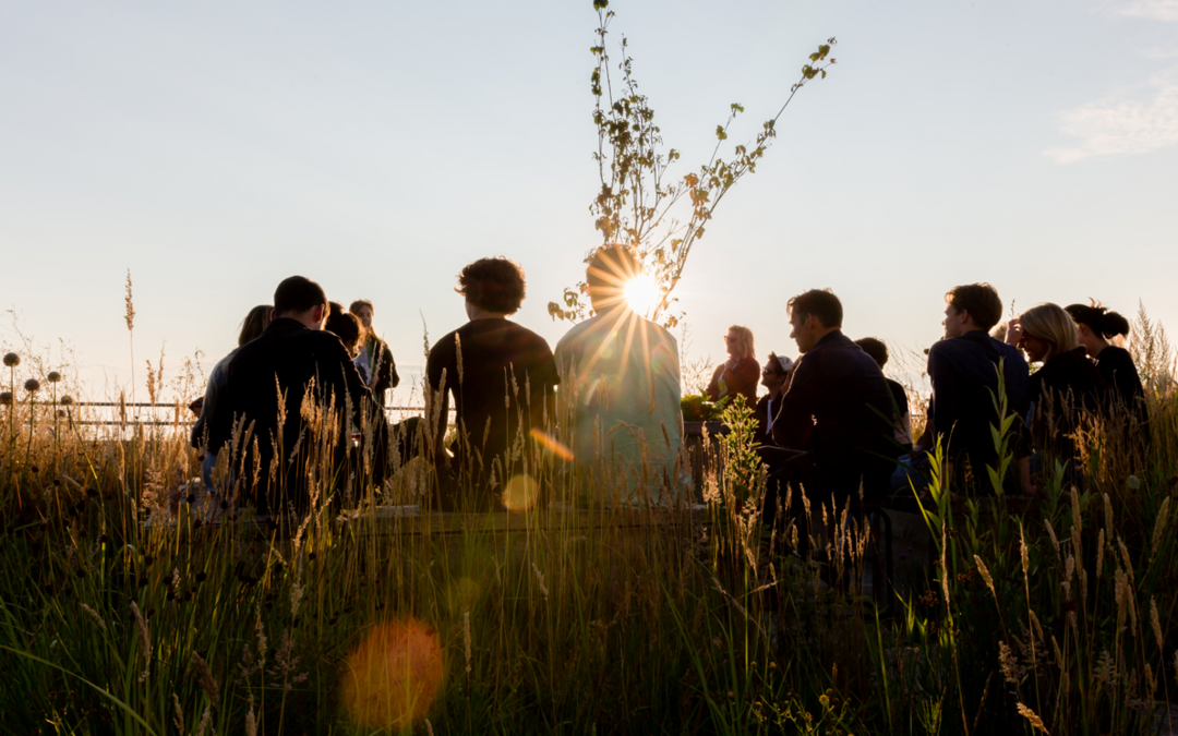 Holland Festival: Manifest Kick-off – Anne van Leeuwen, Nicolas Stemann, Bloei & Groei