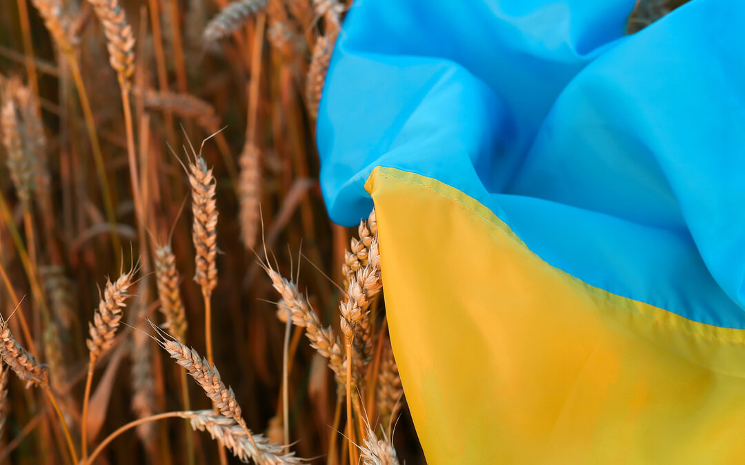 Poetins graanblokkade: een voedselcrisis als oorlogswapen?
