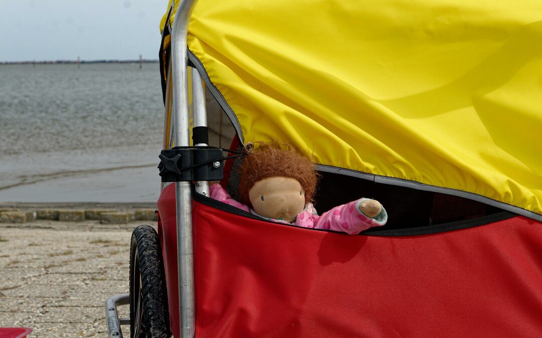 Kinderen op de fiets vervoeren, kies je voor een fietskar of een (elektrische) bakfiets?