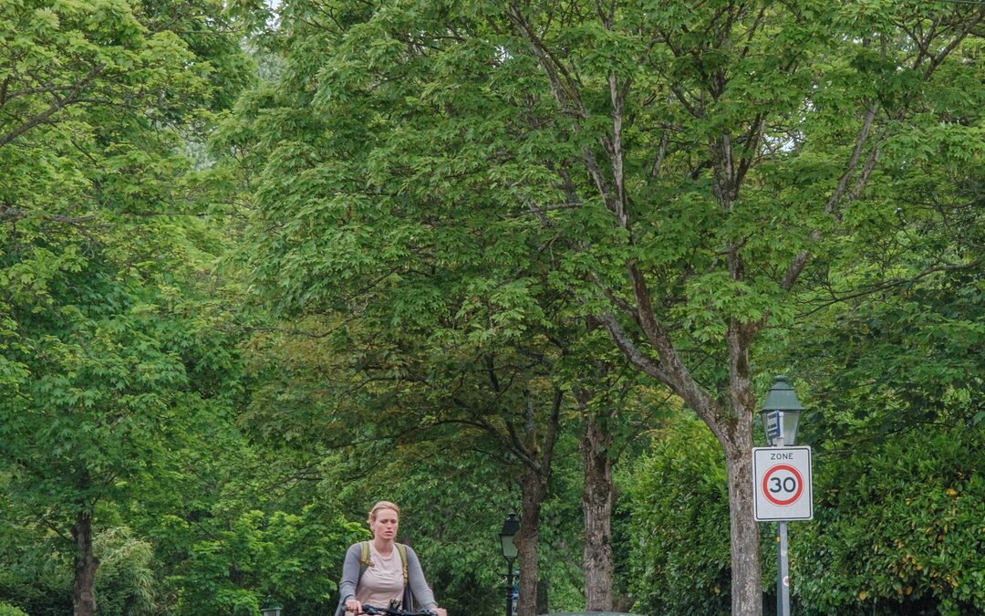 Groene wijken: koeler, gezonder en duurder