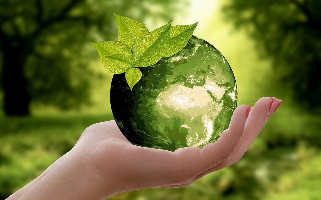 Het groene streven: Vijf duurzaamheidsinitiatieven die het bedrijfsleven transformeren