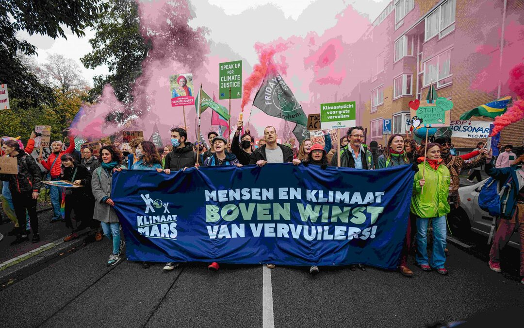 Organizer / mobiliser  Zuidas Klimaatmars