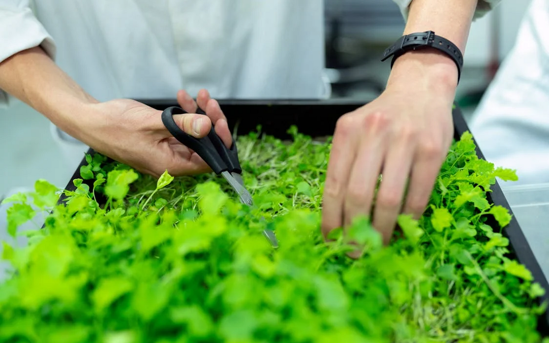 Met deze tips kun jij je eigen koopkracht beïnvloeden door alleen nog maar te kiezen voor duurzame producten