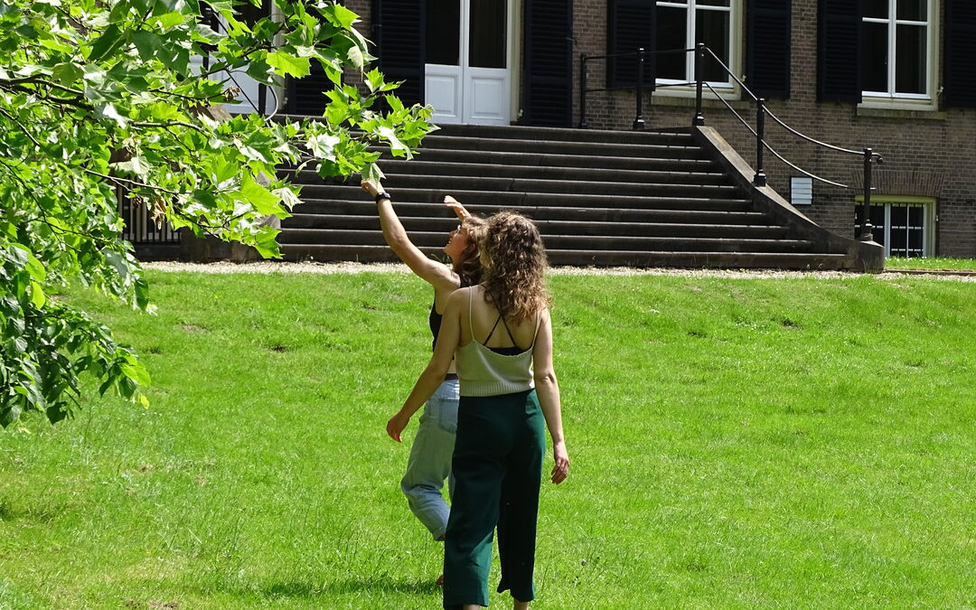 Hoe Groen Traineeship de groene route van jongeren versterkt