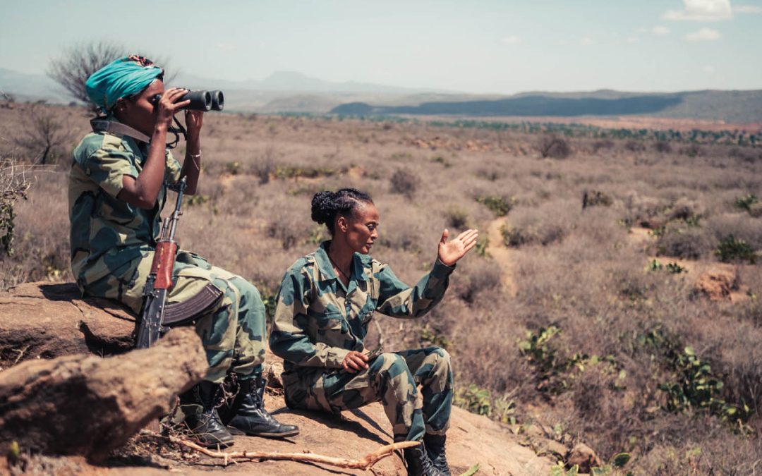 Olifant vs. mens: wie wint de strijd om grond en water in Ethiopië?