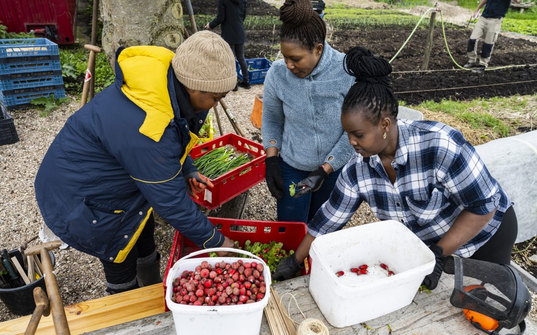 Deze kerken helpen vluchtelingen wel, ondanks politieke klimaat